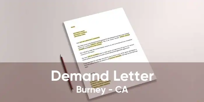 Demand Letter Burney - CA