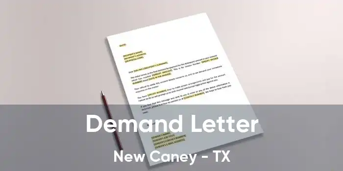 Demand Letter New Caney - TX