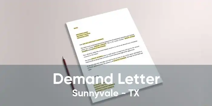 Demand Letter Sunnyvale - TX