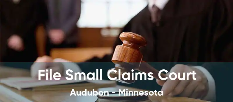 File Small Claims Court Audubon - Minnesota