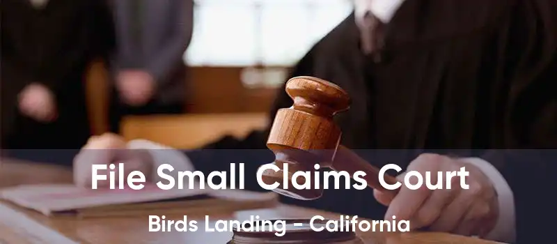 File Small Claims Court Birds Landing - California