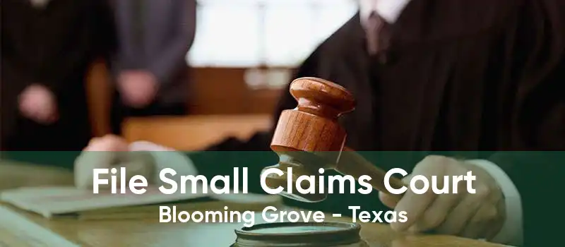 File Small Claims Court Blooming Grove - Texas