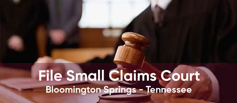 File Small Claims Court Bloomington Springs - Tennessee