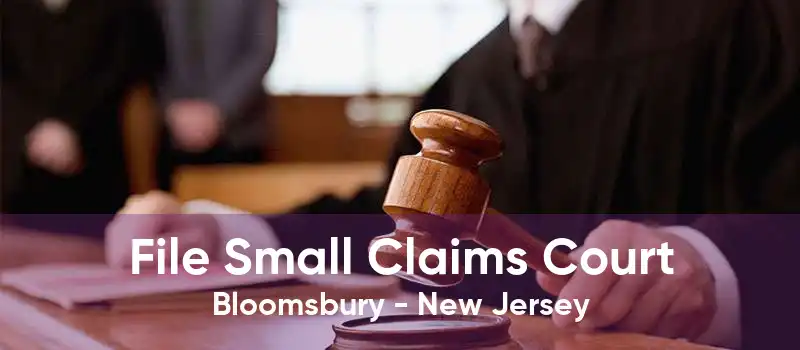 File Small Claims Court Bloomsbury - New Jersey