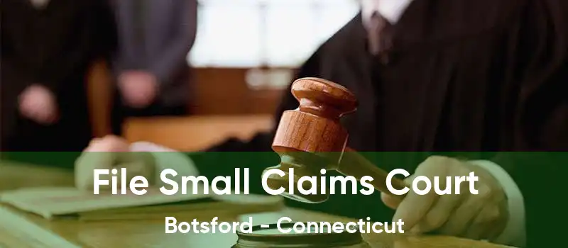 File Small Claims Court Botsford - Connecticut