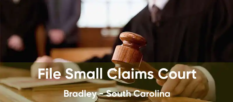 File Small Claims Court Bradley - South Carolina