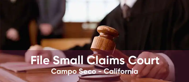 File Small Claims Court Campo Seco - California