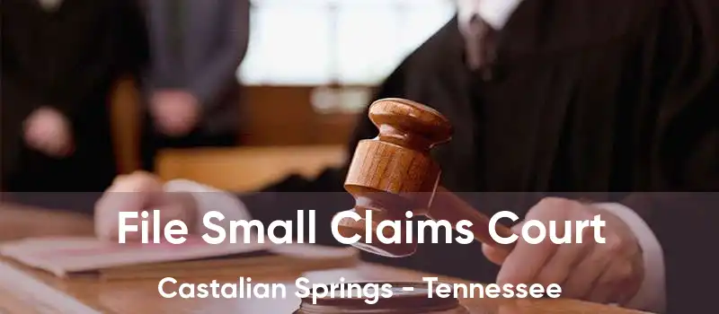 File Small Claims Court Castalian Springs - Tennessee