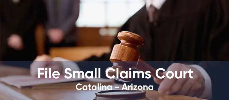 File Small Claims Court Catalina - Arizona