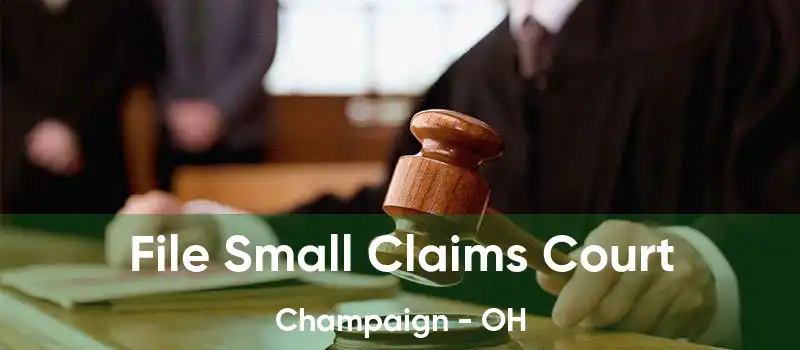  File Small Claims Court Champaign - OH
