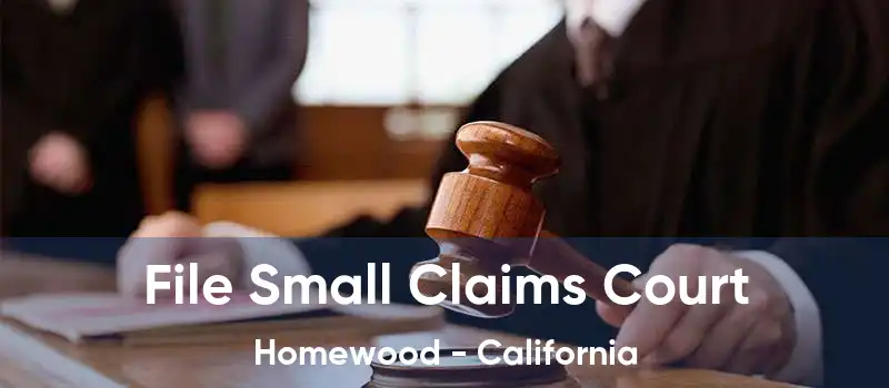 File Small Claims Court Homewood - California