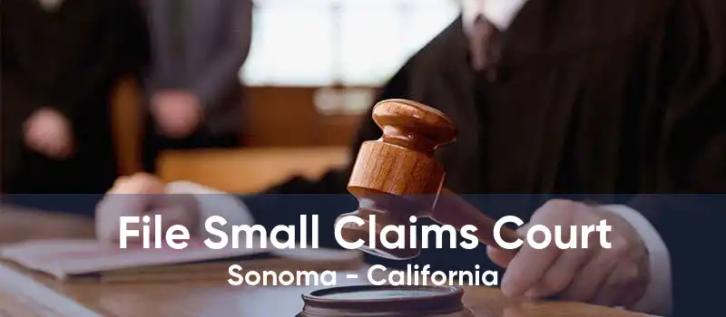 File Small Claims Court Sonoma - California