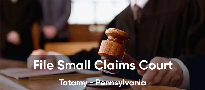 File Small Claims Court Tatamy - Pennsylvania