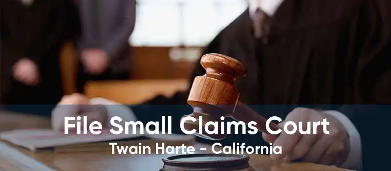 File Small Claims Court Twain Harte - California