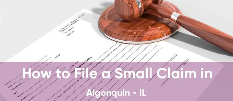 How to File a Small Claim in Algonquin - IL