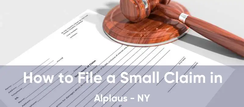 How to File a Small Claim in Alplaus - NY