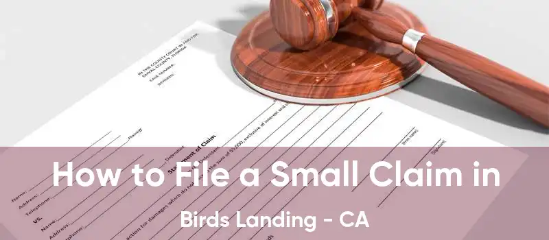 How to File a Small Claim in Birds Landing - CA