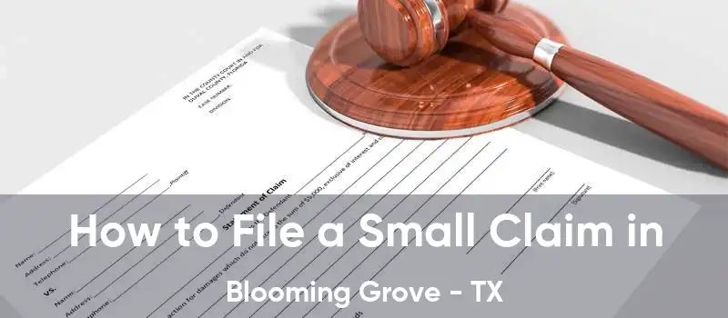 How to File a Small Claim in Blooming Grove - TX