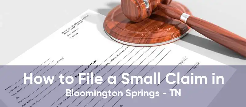 How to File a Small Claim in Bloomington Springs - TN