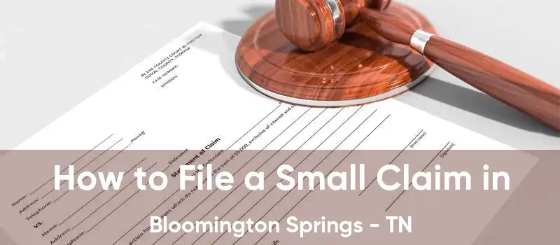 How to File a Small Claim in Bloomington Springs - TN