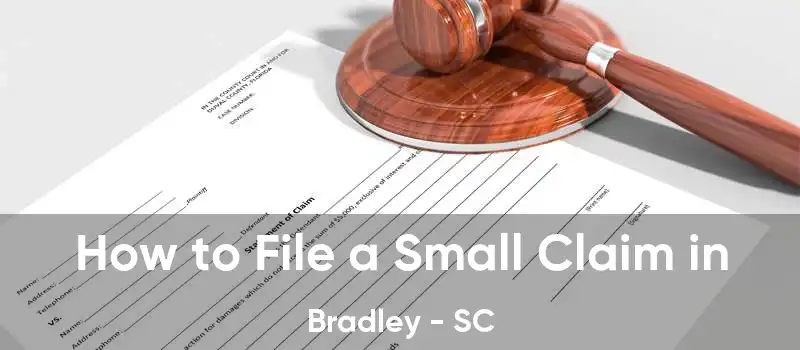  How to File a Small Claim in Bradley - SC