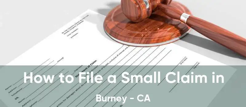 How to File a Small Claim in Burney - CA