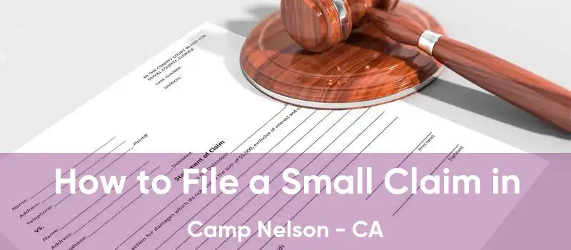 How to File a Small Claim in Camp Nelson - CA