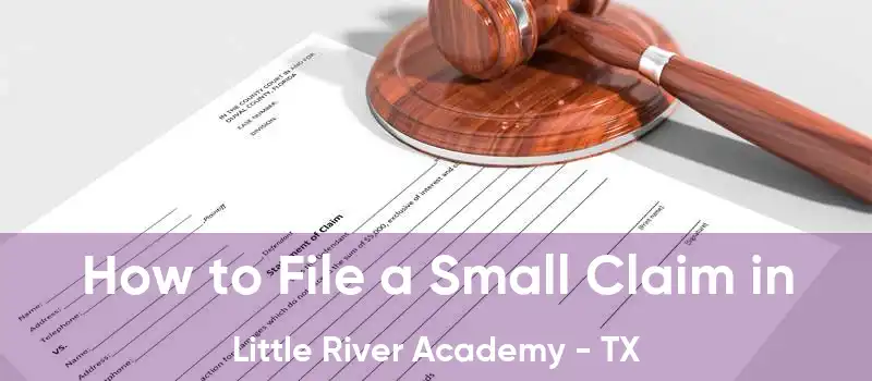 How to File a Small Claim in Little River Academy - TX