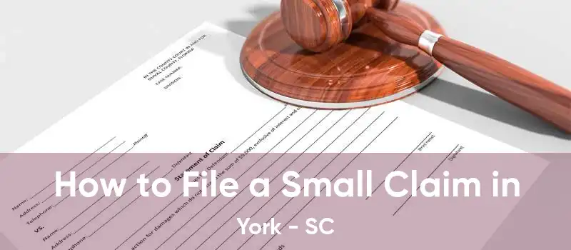 How to File a Small Claim in York - SC