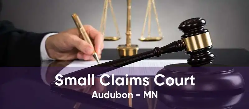 Small Claims Court Audubon - MN