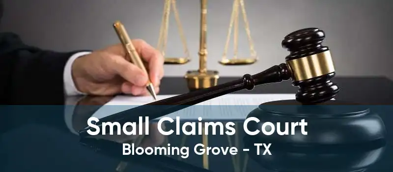 Small Claims Court Blooming Grove - TX
