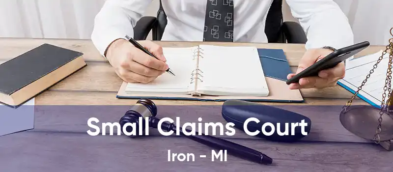  Small Claims Court Iron - MI