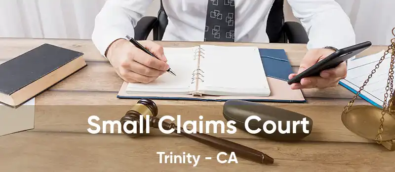  Small Claims Court Trinity - CA