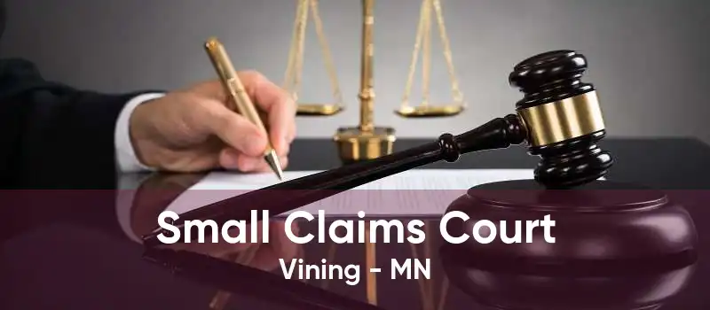 Small Claims Court Vining - MN