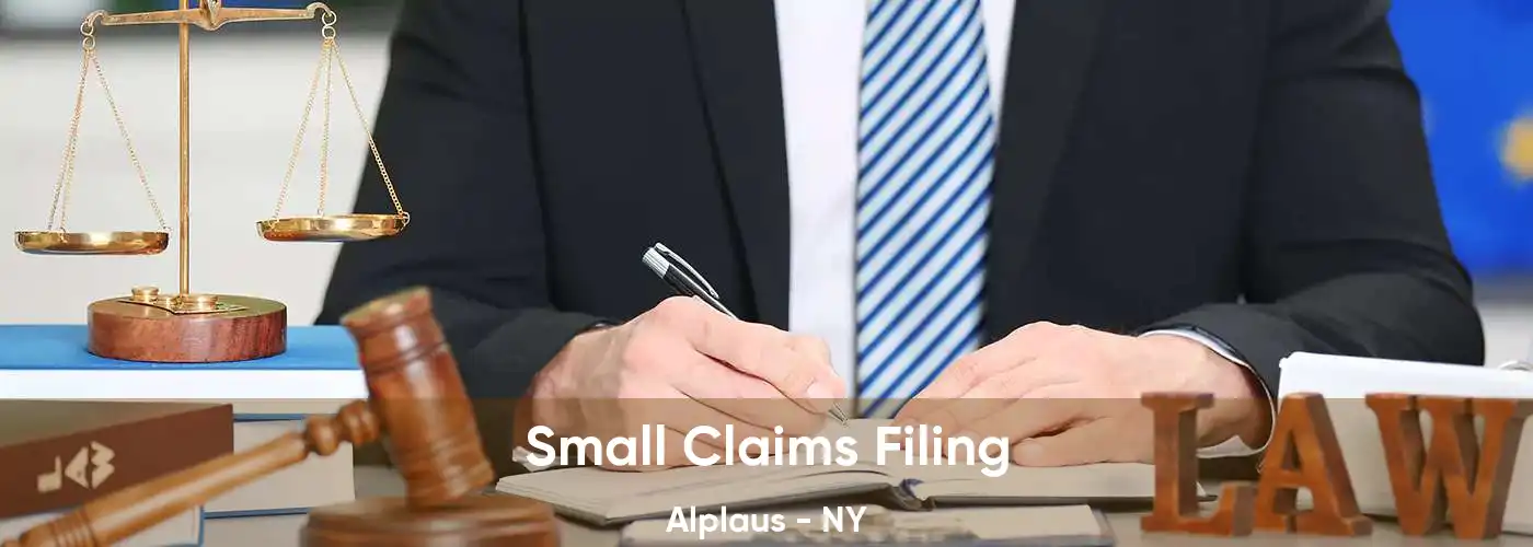 Small Claims Filing Alplaus - NY