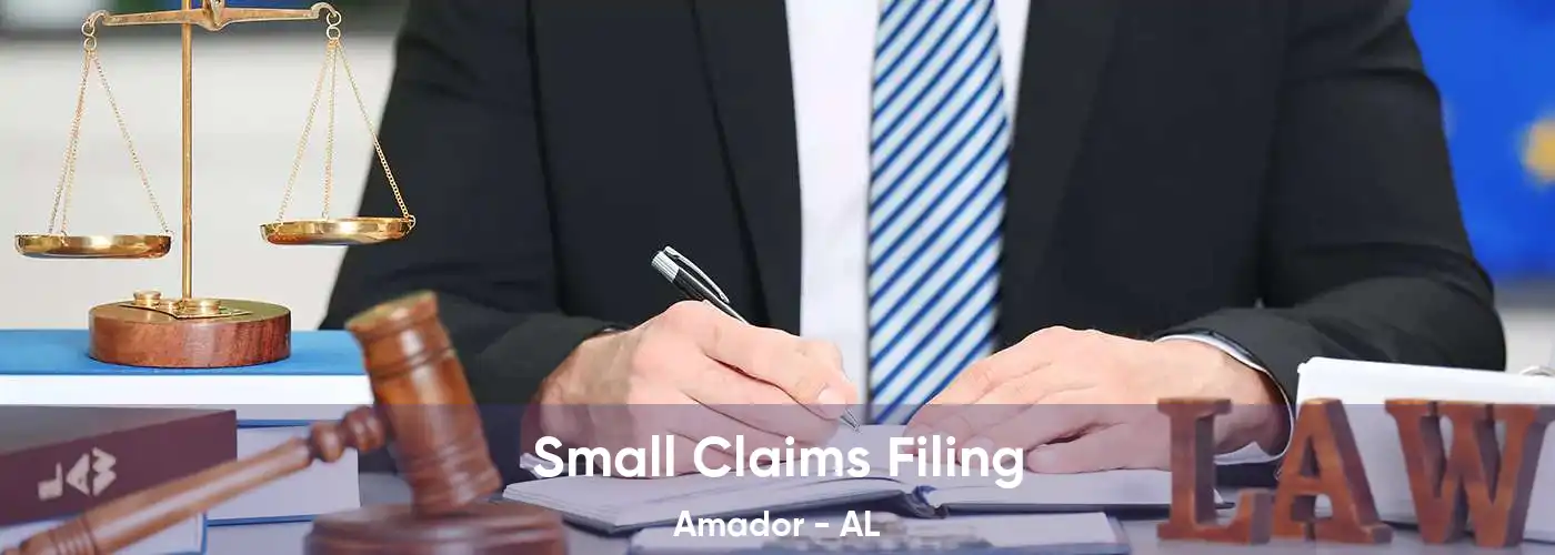 Small Claims Filing Amador - AL