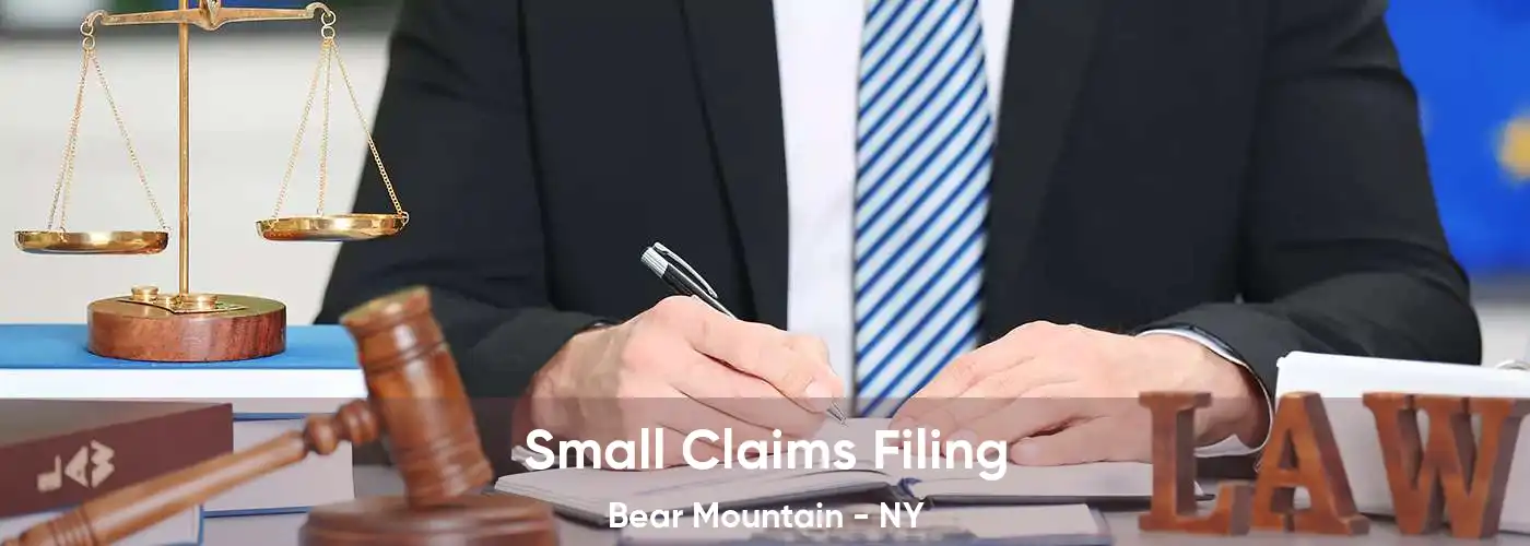 Small Claims Filing Bear Mountain - NY