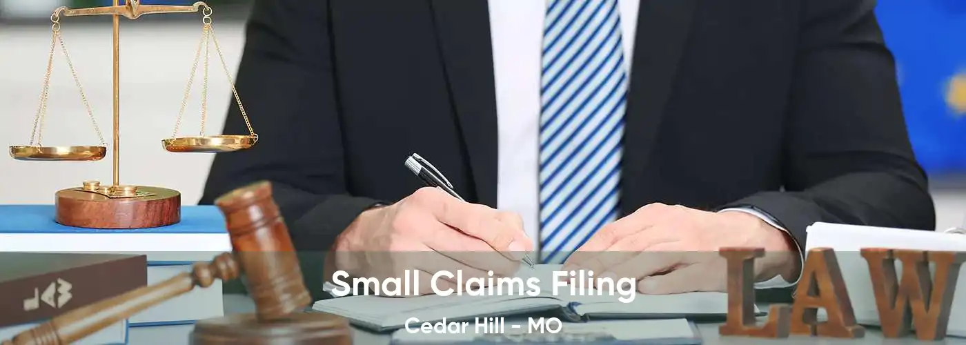 Small Claims Filing Cedar Hill - MO