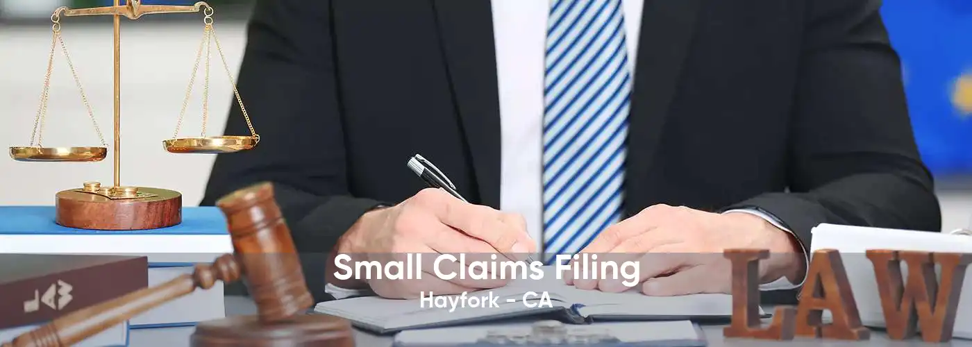 Small Claims Filing Hayfork - CA