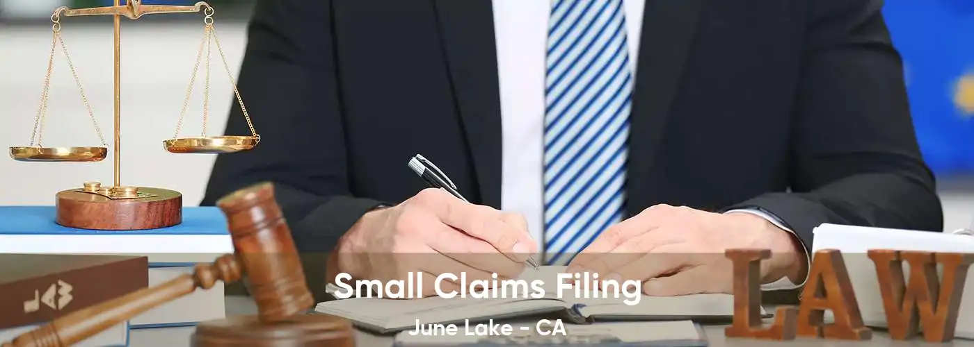 Small Claims Filing June Lake - CA