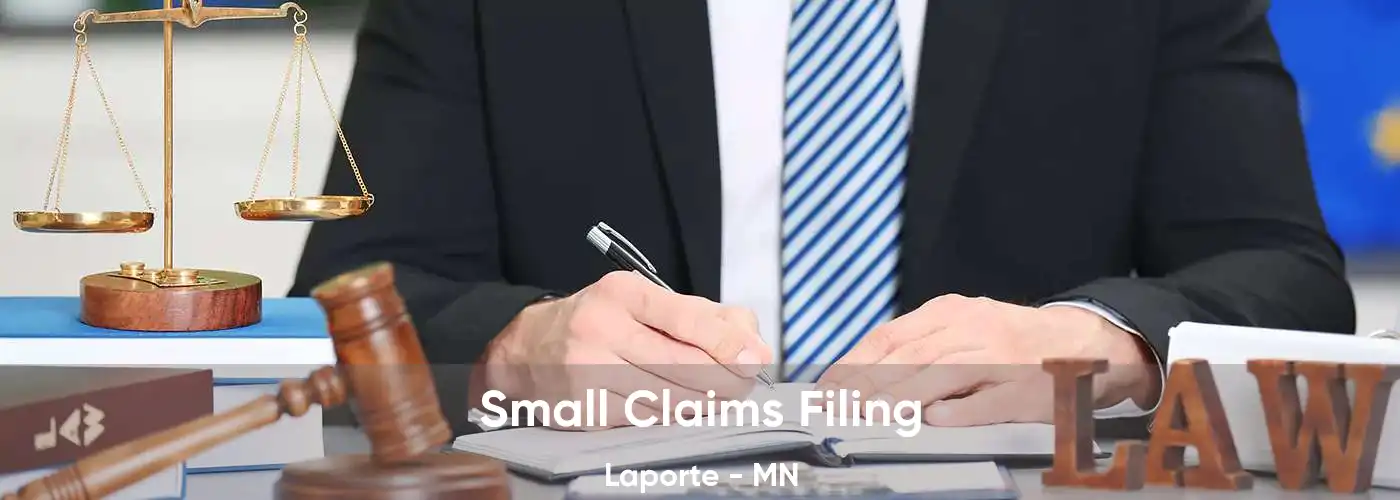 Small Claims Filing Laporte - MN