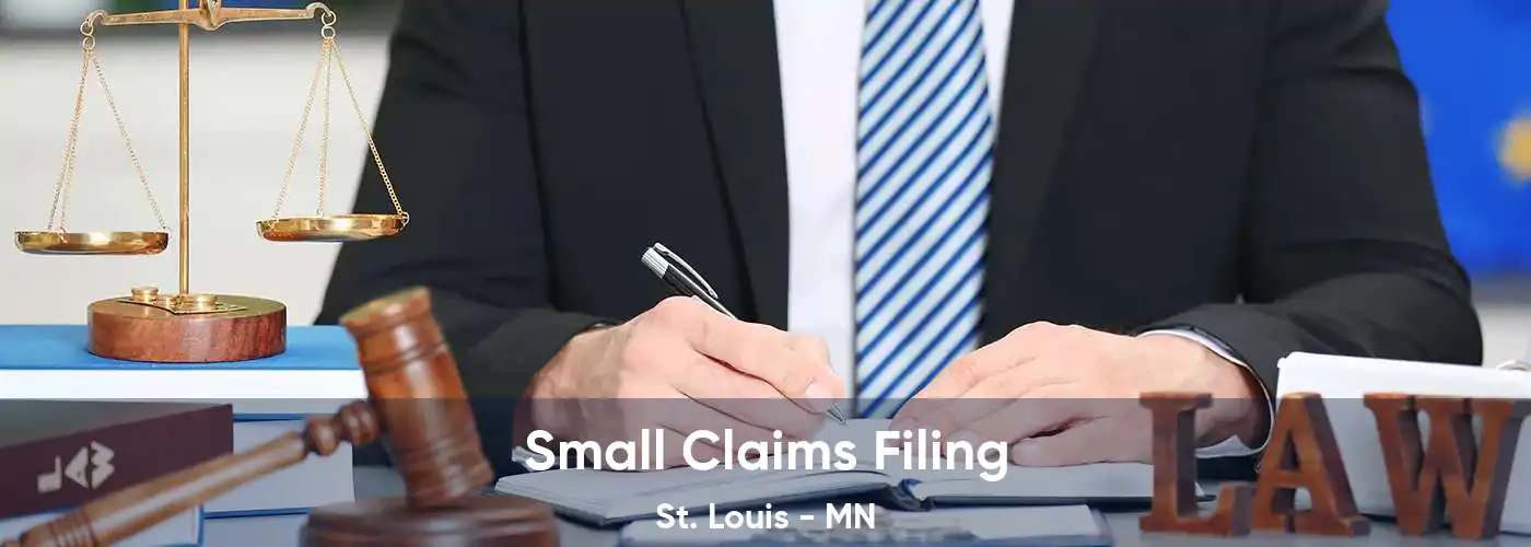  Small Claims Filing St. Louis - MN