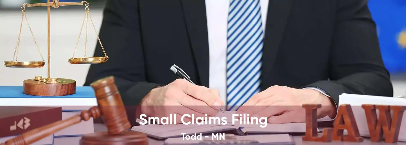  Small Claims Filing Todd - MN
